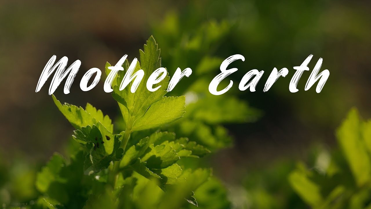 Mother Earth YouTube
