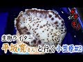 生物ライター・平坂さんと行く小笠原旅#2〜ウミウシを調理！〜