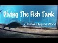 Diving The Fish Tank - Ushaka Marine World