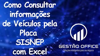 Planilha Excel Consulta Placa de Veículo SISNEP screenshot 3