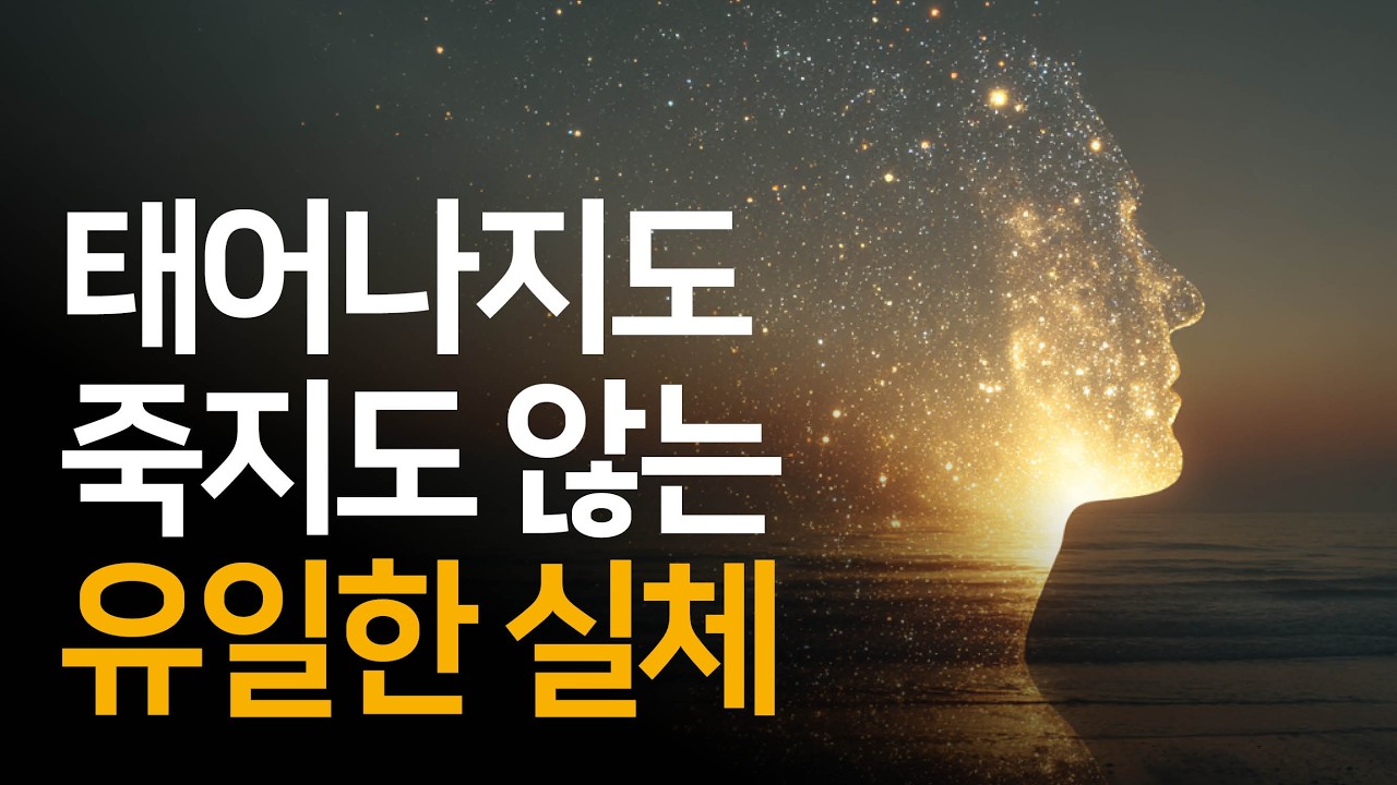 당신은 한 번도 태어난 적이 없고, 결코 죽지 않는다는 말의 의미 | 진리는 바로 지금, 바로 여기 있다