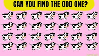 Find Odd Animals out || Awesome EYE PUZZLES AND RIDDLES|| Eye Test || Photo Puzzles