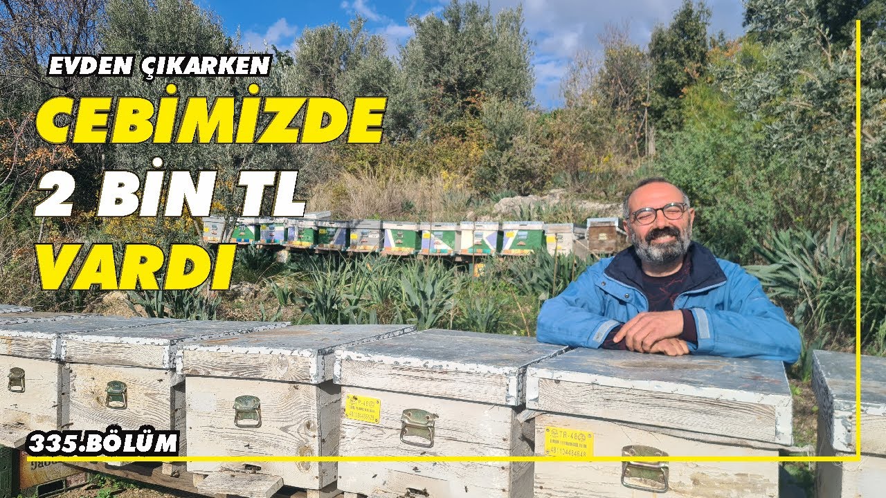 Kiraladığı köy evinde profesyonel arıcılık yapıyor. 