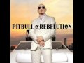 Pitbull Feat. Akon - Shut It Down