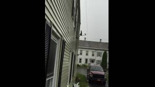 IMG 0294