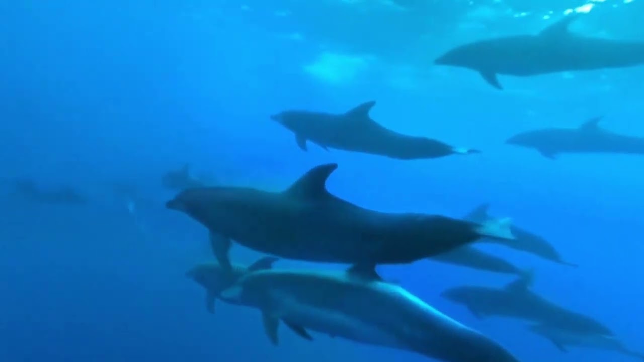 VR Experiences: The Click Effect