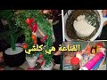 يا فرحي يا سعدي  بالصخرة لي صيفطات ليا ميمتي و ختي  آجيو تشاركوا معايا فرحتي    نجومي