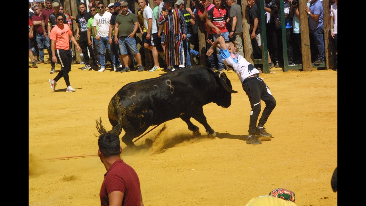 San Marcos 2023  Beas de Segura ,   Récord Mundial de suelta de toros ensogaos día 24 abril