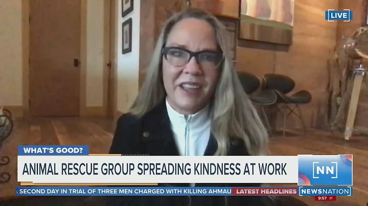 Animal rescue group spreading kindness at work | M...