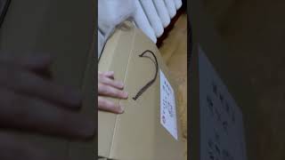 Curious Cat Comes Out of a Box Soon as Owner Opens It