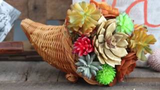 Succulent Cornucopia