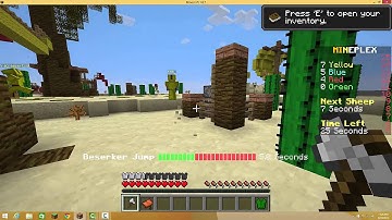 DubstepSkater Hacks on Mineplex Sheep Hunt