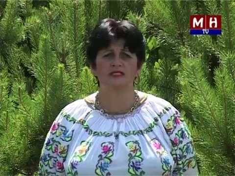 Mariana Blidaru - Muntilor izvoare line