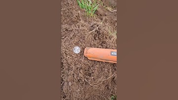 gp pinpointer review for metal detecting