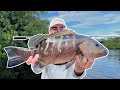 Peche de poissons surpuissants en light  gabon ep 1