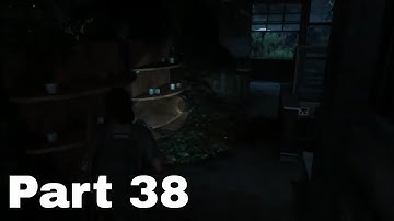 THE LAST OF US 2 Walkthrough Gameplay Part 38 - (Last of Us Part 2) - No Commentary  - PS4