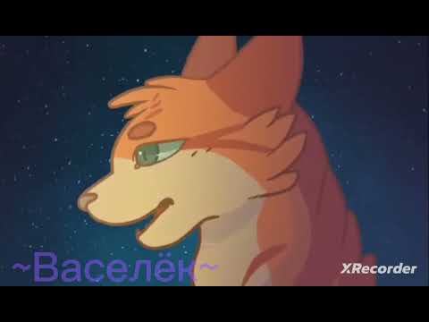 коты воители клип