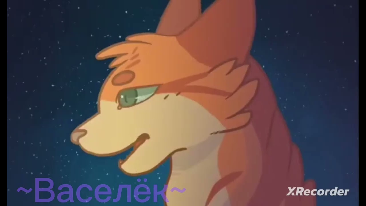 preview_player