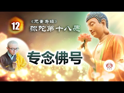 《无量寿经》弥陀第十八愿  第12讲 - 专念佛号（乃至十念） | 净本法师 主讲