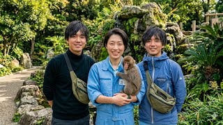 Punch Y Moe El Pequeño Macaco Que Cambió Su Peluche Por Un Abrazo Real