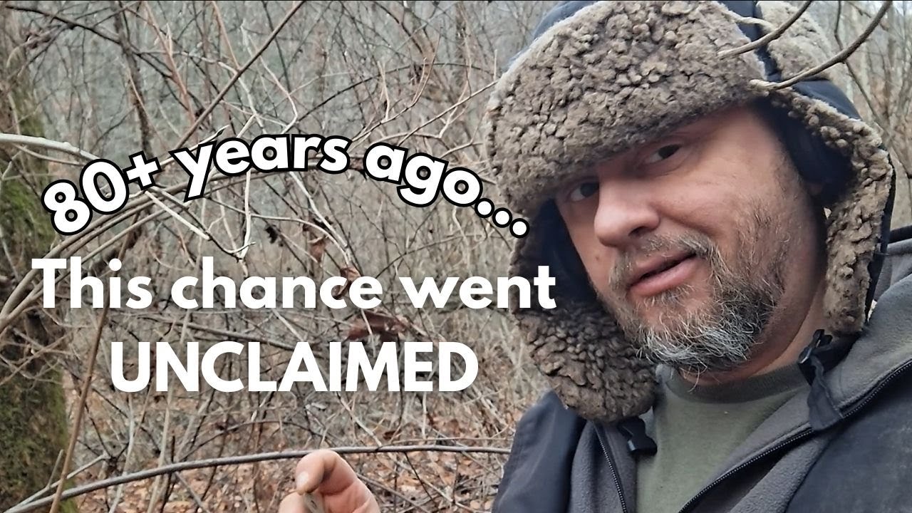 80 лет роста лесов: металлоискатели на исчезнувших улицах угольного городка в Западной Вирджинии