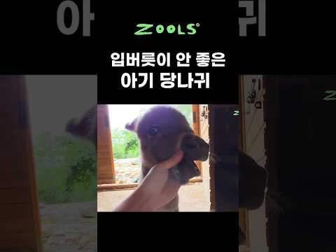 입버릇이 안 좋네 애가...