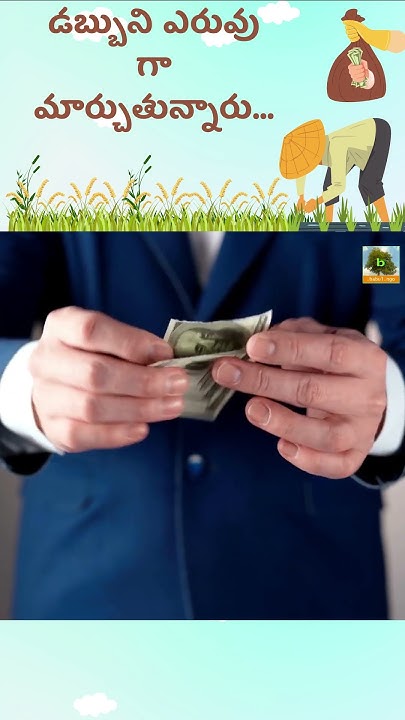cash-to-trash-dollars-converted-to-shorts-econews-youtube