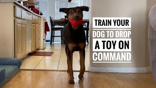 How to train your dog to drop a toy when you ask