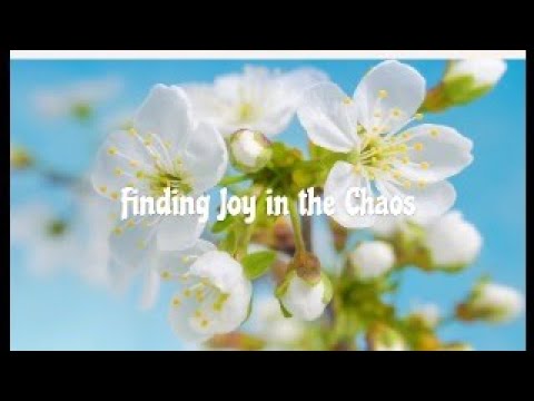 Finding Joy in the Chaos - YouTube