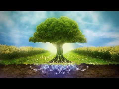 სიმღერა ტყეებზე ,,აონი''