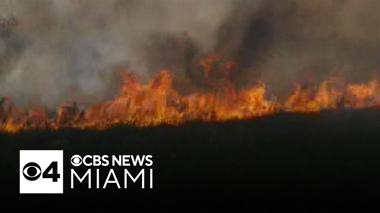 Brush fire continues to burn in South Miami-Dade, rush hour traffic ...