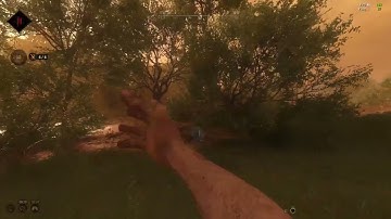 Hunt Showdown - Pushing and CQB with the Krag