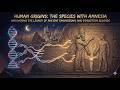 Who created us? How did we get here? The church and school explanations do not make any sense!