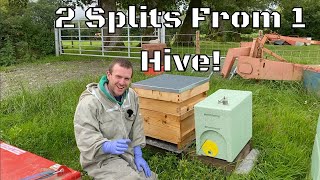 Making 2 Splits From 1 Hive Leaving You With 3 Beehives Using The BS Honey Bees 2 In 1 Nuc