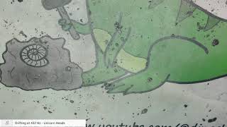 Tuesday streaming fossil prep