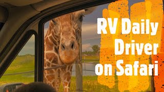African Safari Park Port Clinton Ohio -2020 - RV Daily Driver by RV Daily Driver 336 views 3 years ago 11 minutes, 27 seconds