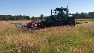 Unieke Maaimachine Op De Graslanden Op De Kampina