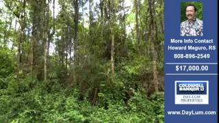 Land For Sale Puna HI Real Estate on 1.00 Acres-Acres $17000.00 Puna HI Howard Meguro RS