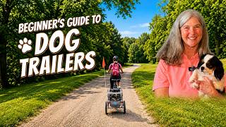 Beginner’s Guide to Dog Bike Trailers: Buying, Training & Riding