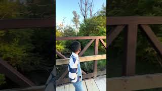 No music need for video Natures Sound 🌳#nature #waterfall #trending #usa #nationalforests