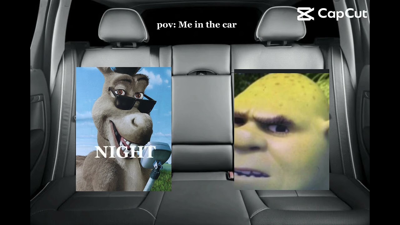R.I.P shrek