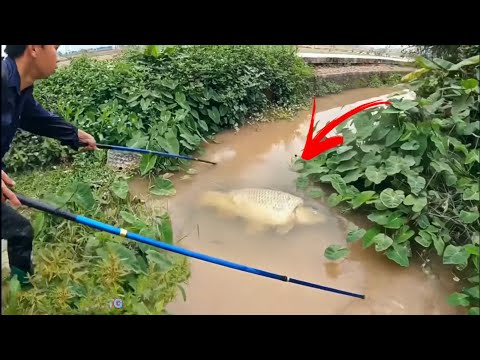 Video Top 1 Best Fishing Video | OMG - youtube