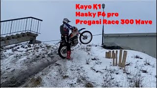 :    Kayo Hasky Progasi