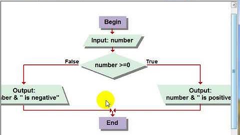 Visual Logic Flowchart Positive or Negative?