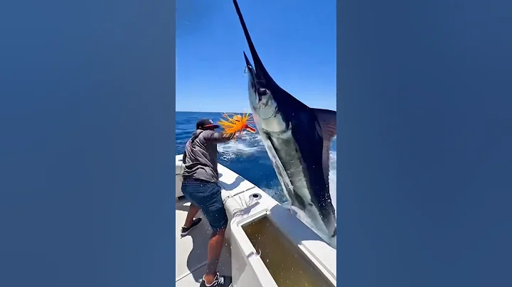 Never Let Your Guard Down When Fishing for a 🦈🎣 #fishing