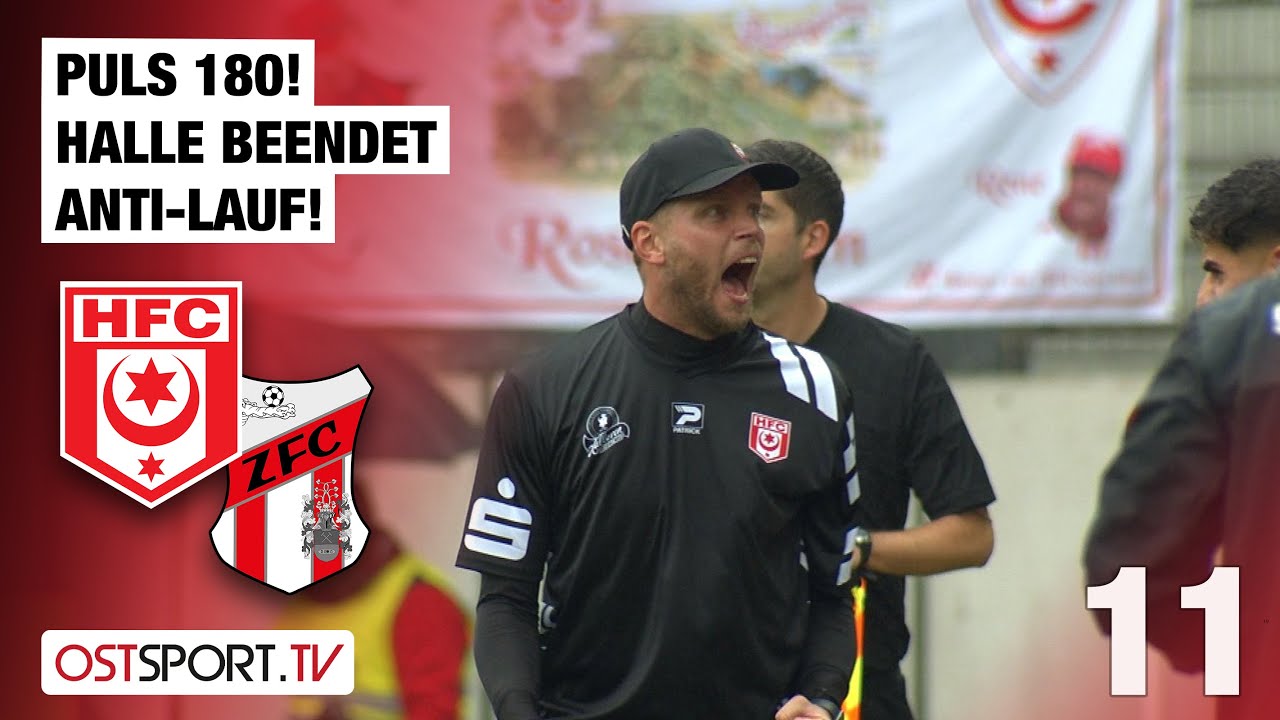 PULS 180! Halle beendet Anti-Lauf! Hallescher FC - ZFC Meuselwitz | Regionalliga Nordost