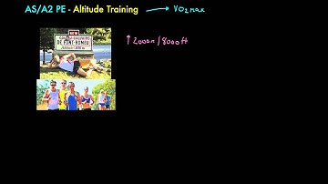 A2 PE - Altitude Training Short