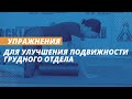 Упражнения для улучшения подвижности грудного отдела