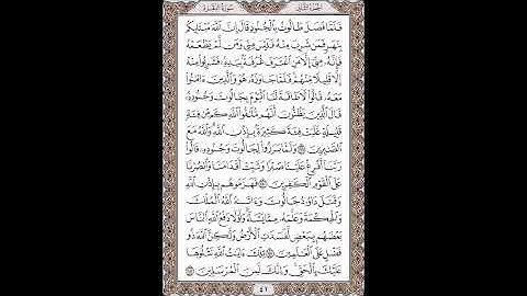 القرآن الكريم بصوت الشيخ سعد الغامدى صفحات  صفحة رقم ( 41 )