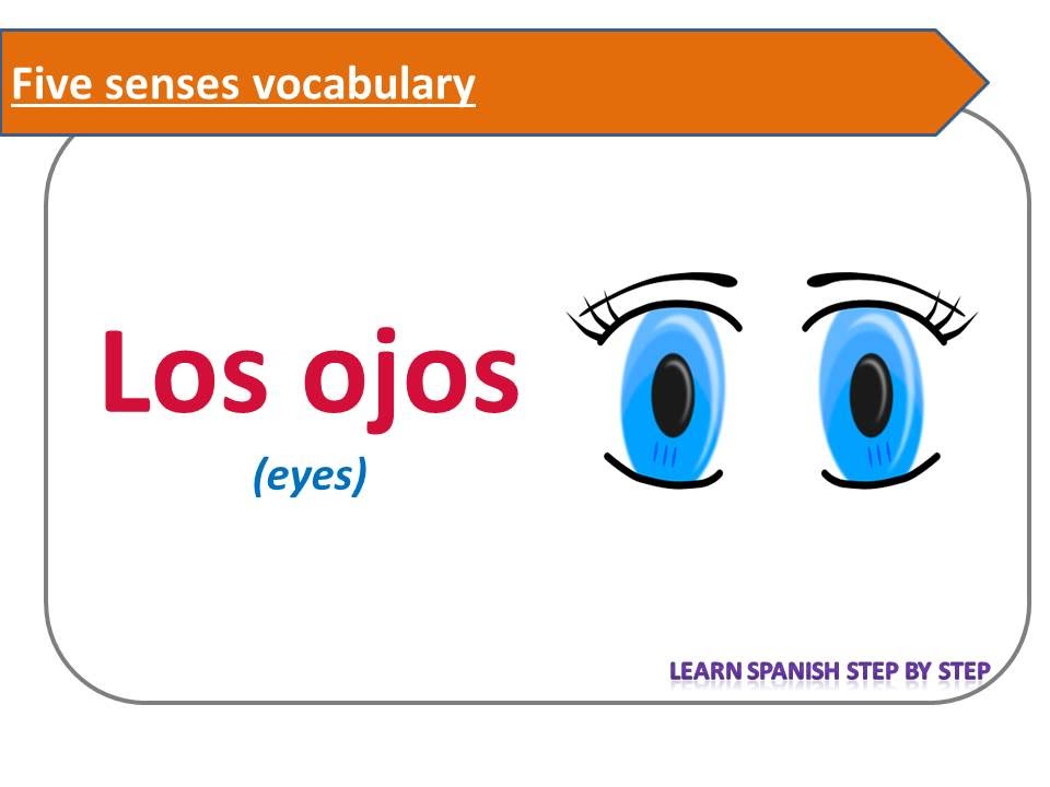 Spanish lesson 13 - Vocabulary: The five senses in Spanish - Los cinco sentidos en español